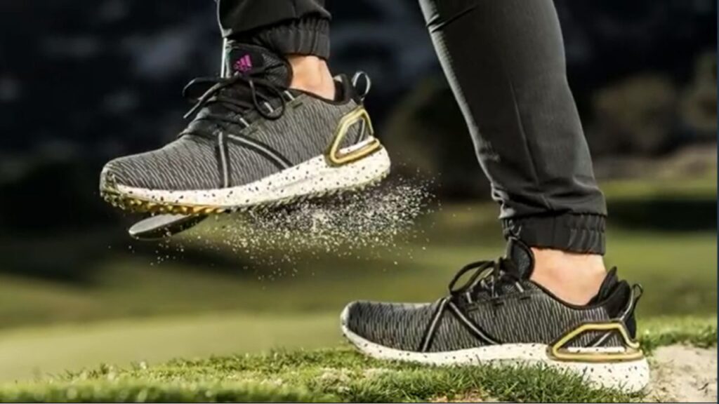 What Are The Best Shoes For Disc golf? Solution Shoes